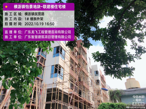 横沥镇怡景地块-联建楼住宅楼