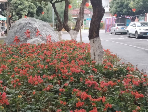 万江街道拔蛟窝社区房屋隐患整治和公共空间改造项目